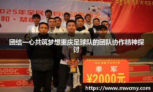 团结一心共筑梦想重庆足球队的团队协作精神探讨