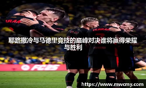 伟德bv国际体育