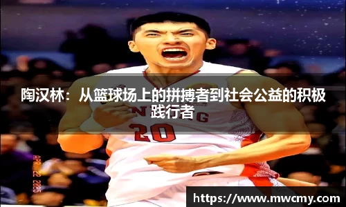 伟德bv国际体育